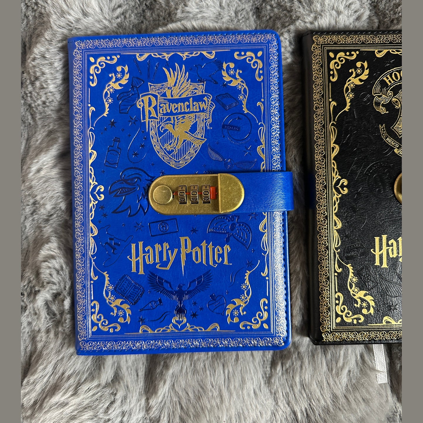 Harry Potter password Note Random color