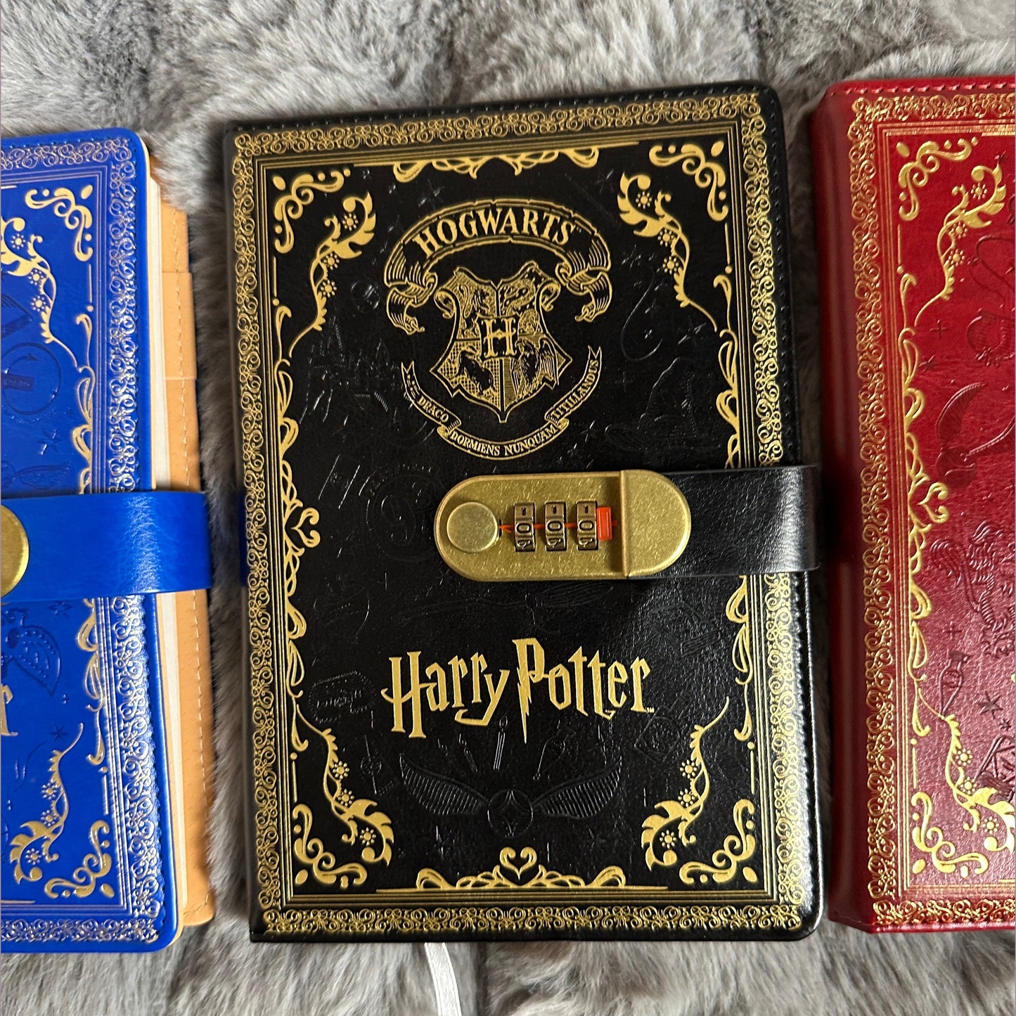 Harry Potter password Note Random color