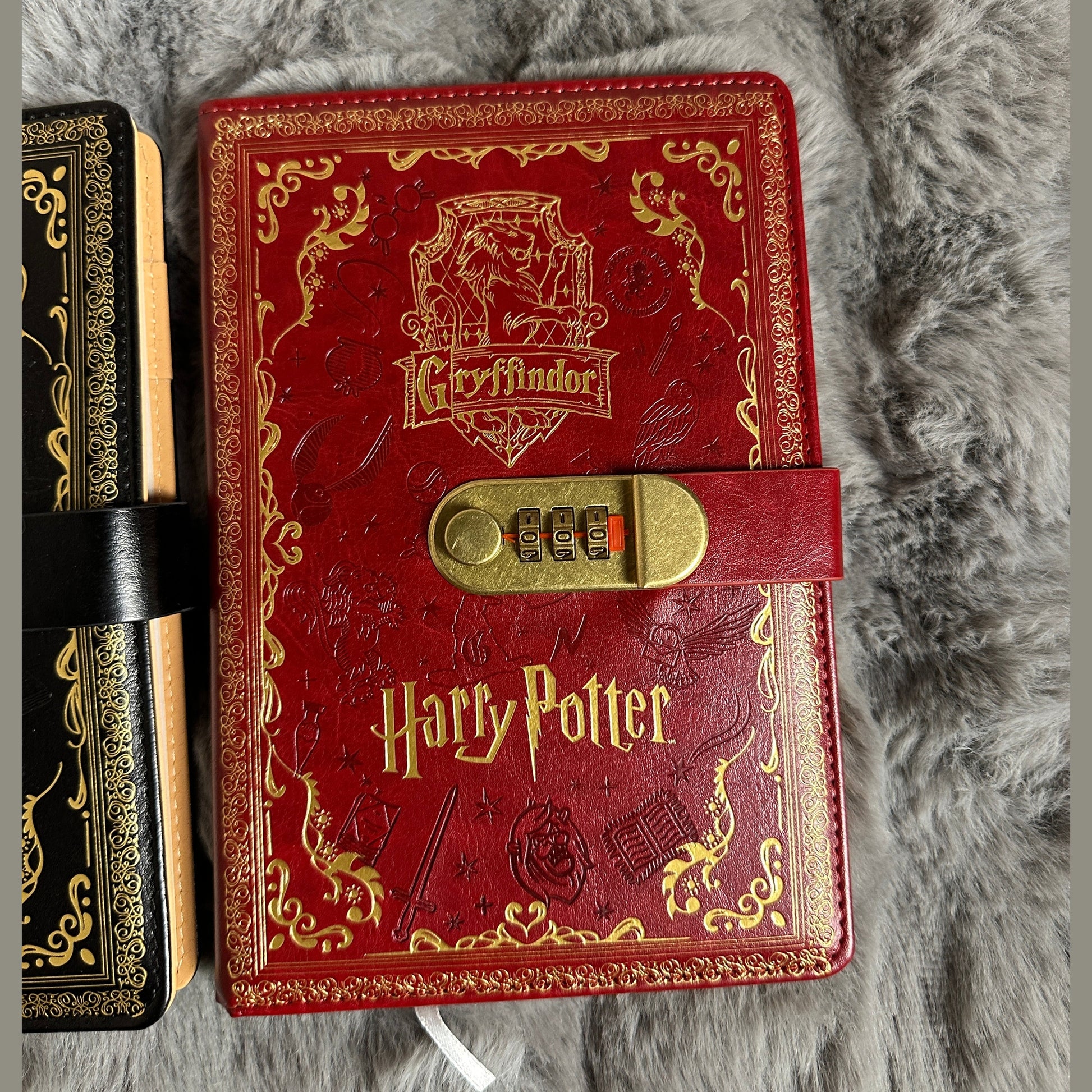 Harry Potter password Note Random color