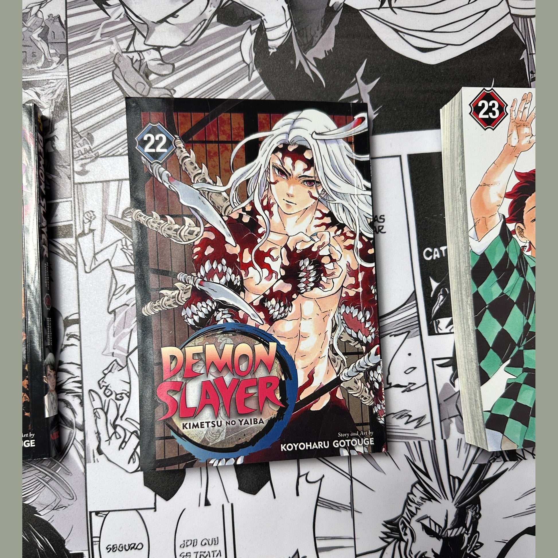 Demon slayer Manga books