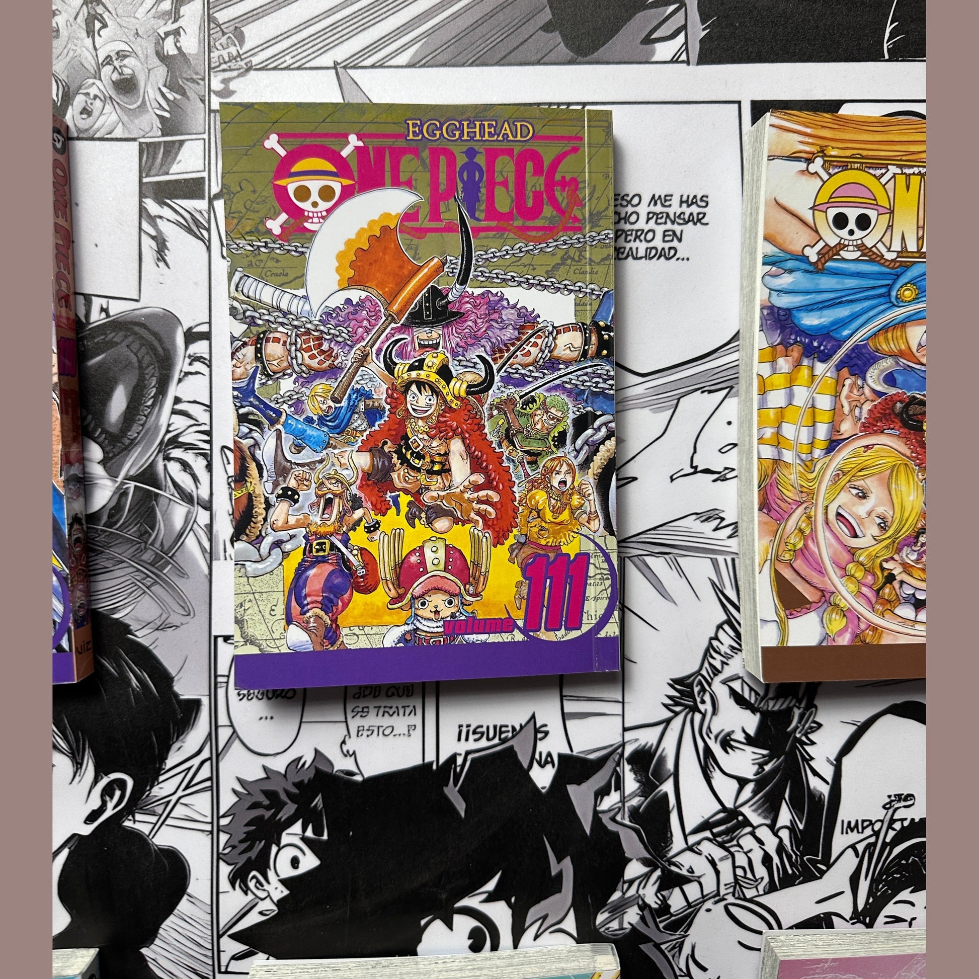 One piece Manga books