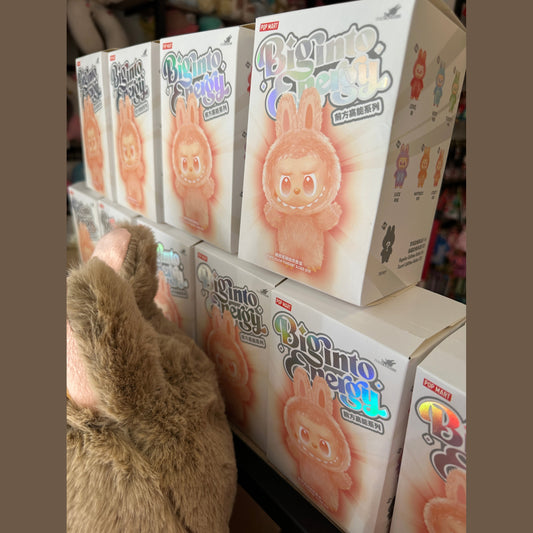 Labubu random box from One for all anime store