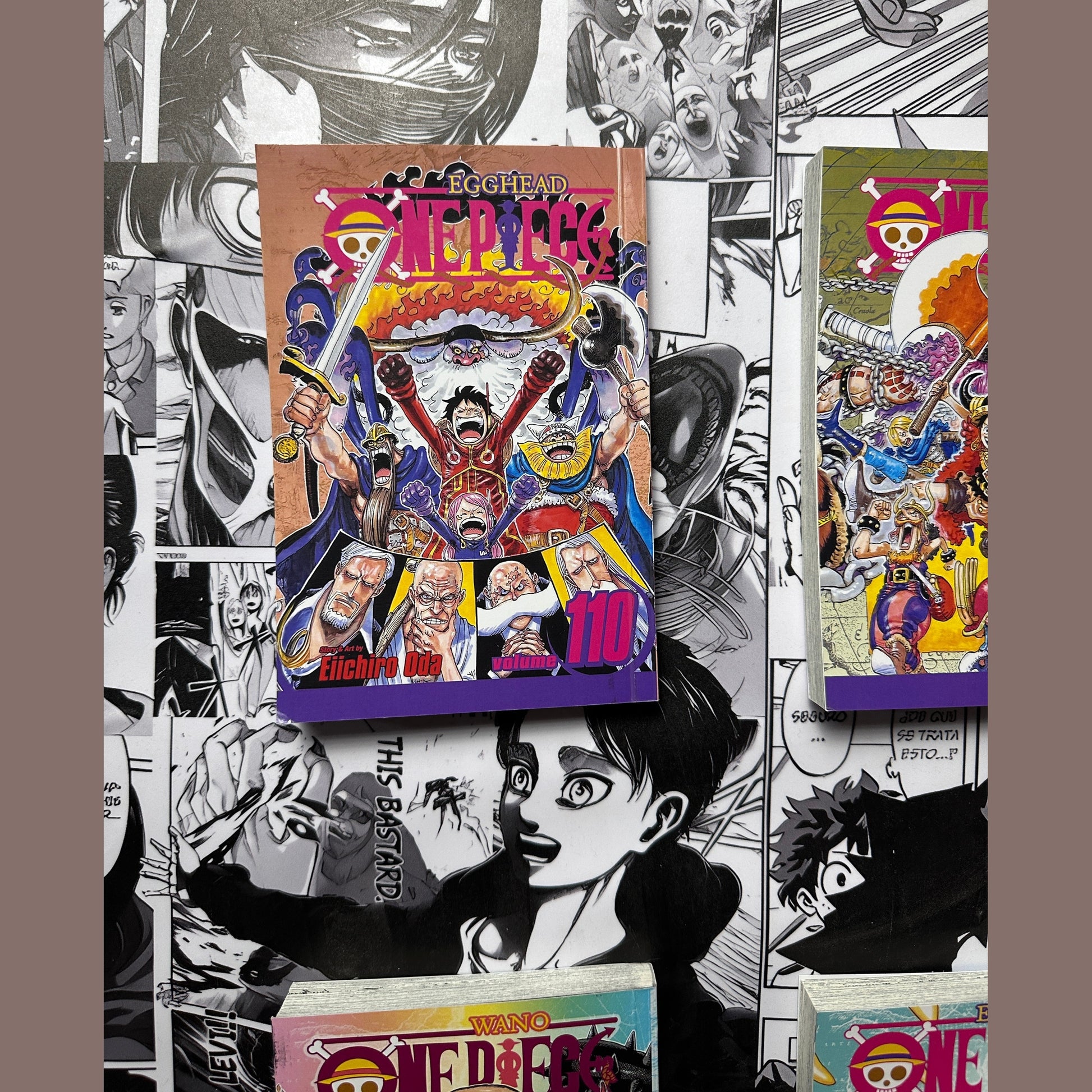 One piece Manga books